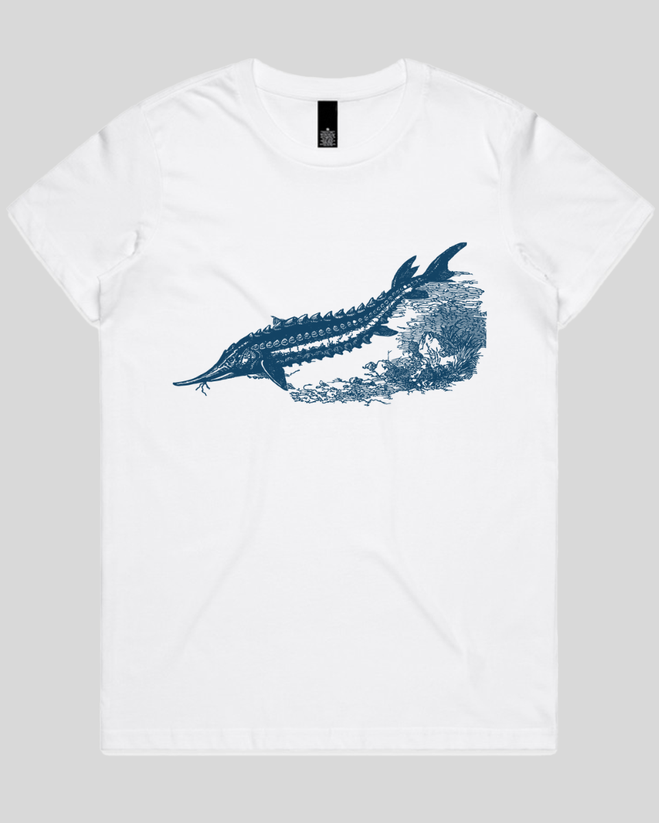 Ancient River Fish 2 Women's T-Shirt